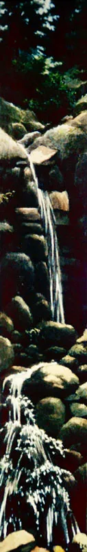 Cascada. Gonzalo Ariza. Óscar Monsalve
