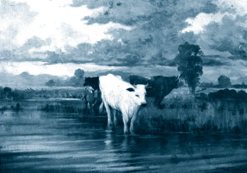 Ganado en el Río. P.J. Pinilla Jiménez. Óscar Monsalve
