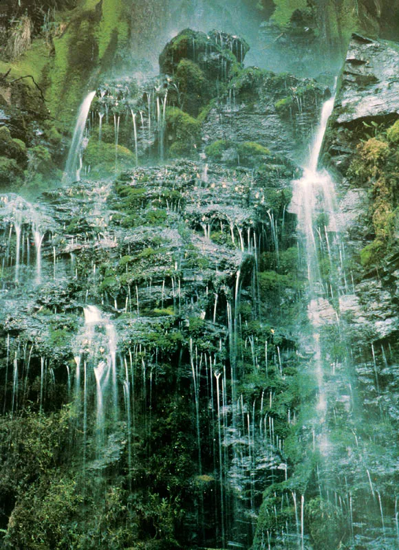 Quebrada El Coguay.  Pramo de Chingaza. 