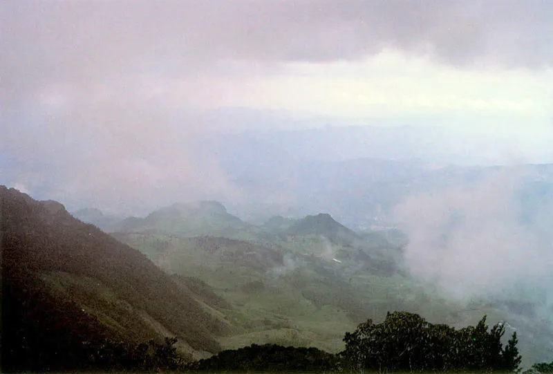 Niebla sobre el Pramo de Chingaza. 