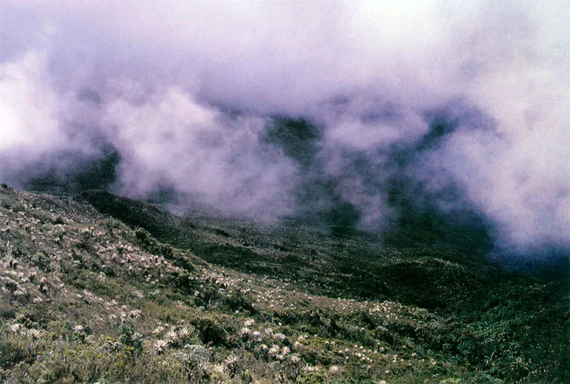 Nebla sobre El Tablazo.  Pramo de Guerrero. 