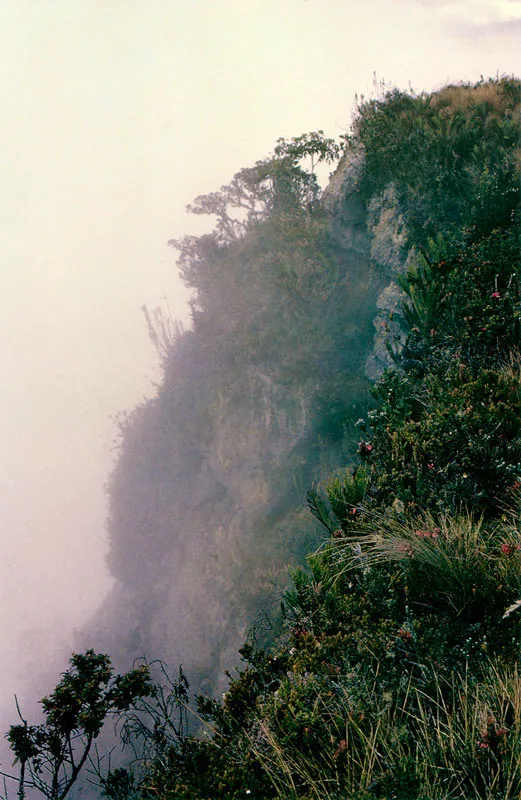 El Tablazo. Pramo de Guerrero. 