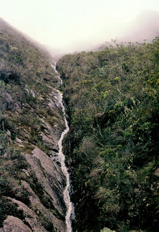 Pramo de Sumapaz. 