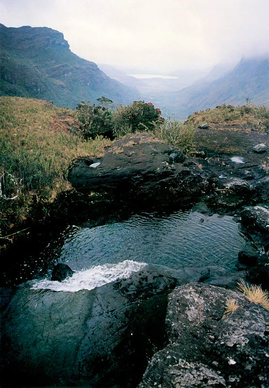 Ro Fro en su descenso a la laguna de Chingaza.  Pramo de Chingaza. 