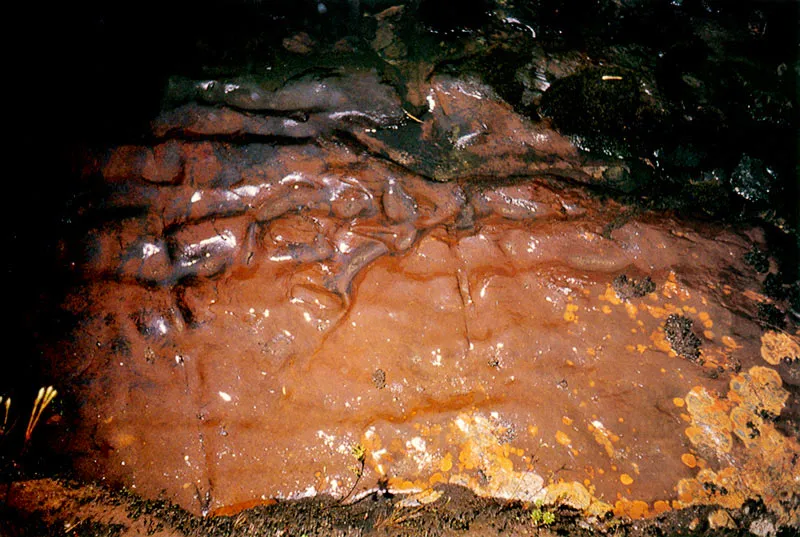 Piedras labradas por la accin del agua. Pramo de Chingaza. 