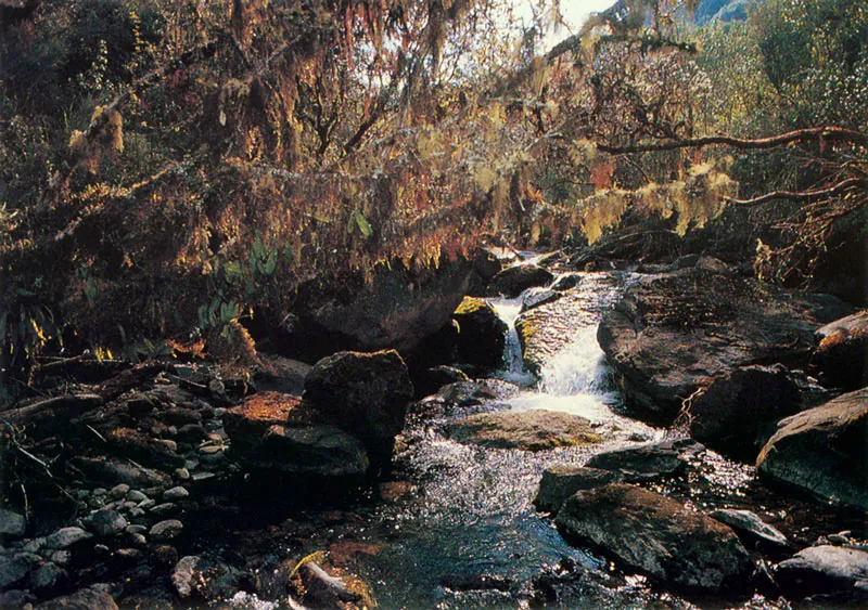 Aspectos del nacimiento del río Guaitiquía. Páramo de Chingaza.