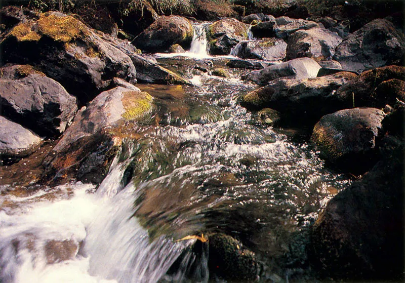 Aspectos del nacimiento del río Guaitiquía. Páramo de Chingaza.
