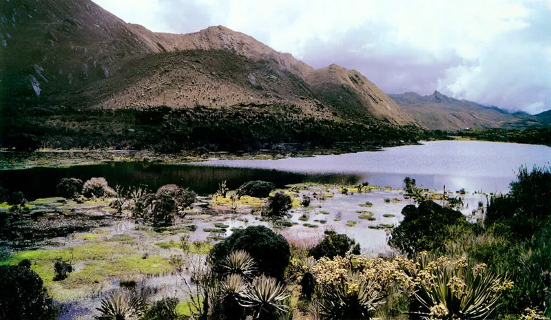Páramo de Sumapaz.