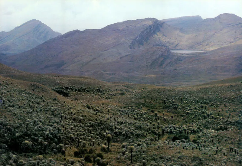 Páramo de Sumapaz.