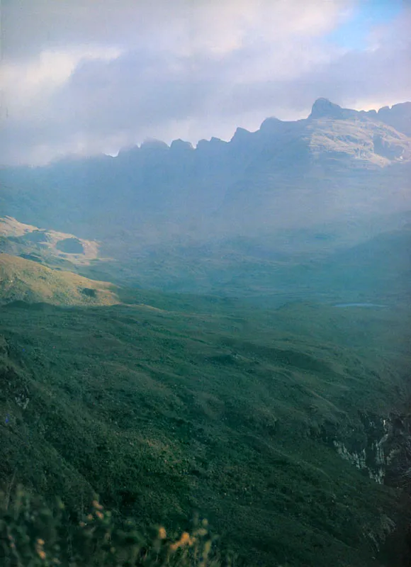 Serranía de los Organos. Páramo de Chingaza.