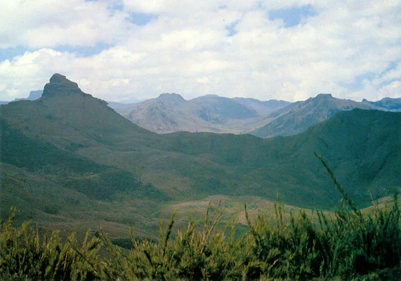 Cerro del Gorro. Pramo de Chingaza. 