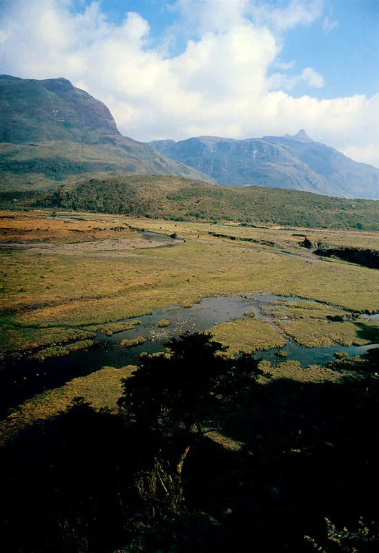 Río Frío. Al fondo el cerro del Gorro. Páramo de Chingaza.