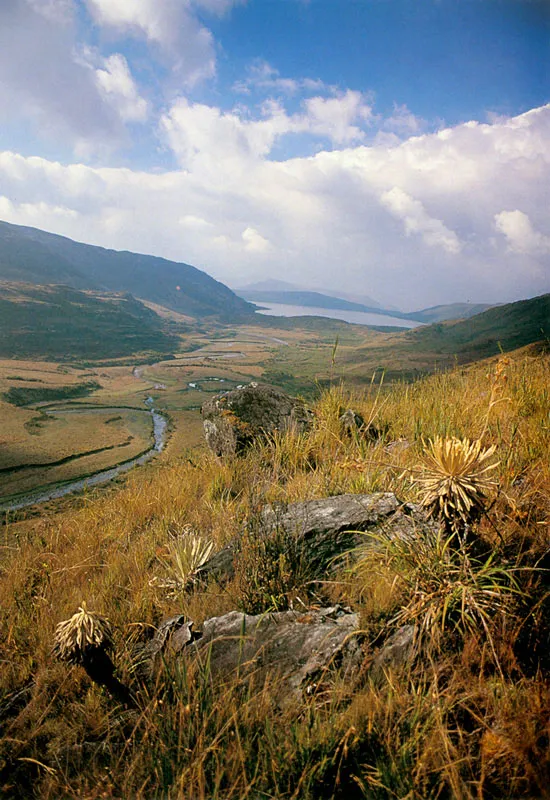 Río Frío desemboca en la laguna de Chingaza. Páramo de Chingaza.