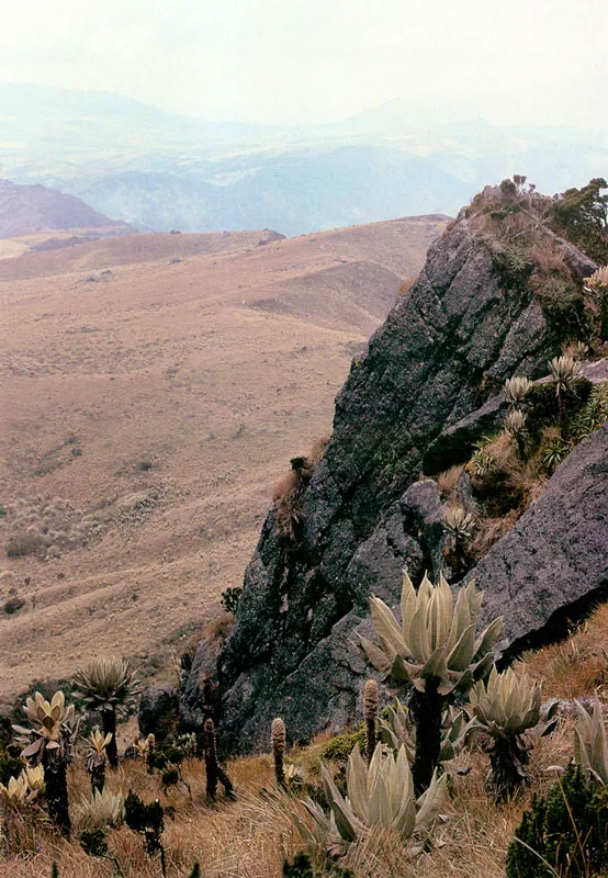 El Santuario. Páramo de Guerrero.