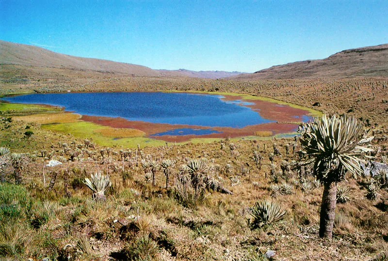 Páramo de Sumapaz.