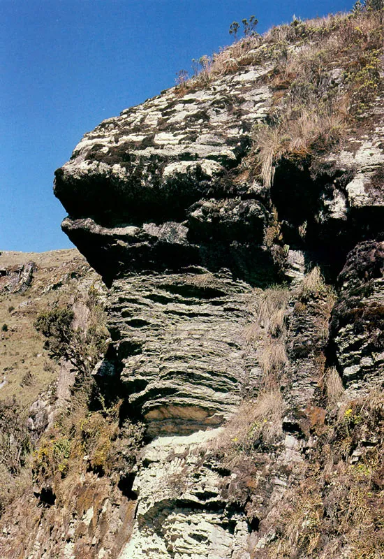 Páramo de Chingaza.