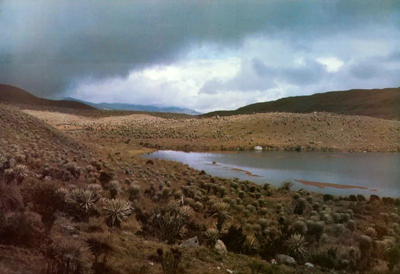 Páramo de Sumapaz.