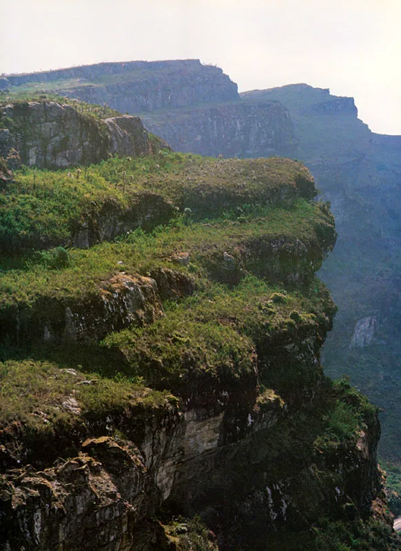 Formaciones de roca caliza sedimentaria de origen marino.
Páramo de Chingaza.
