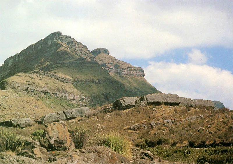 Formaciones de roca caliza sedimentaria de origen marino.
Páramo de Chingaza.