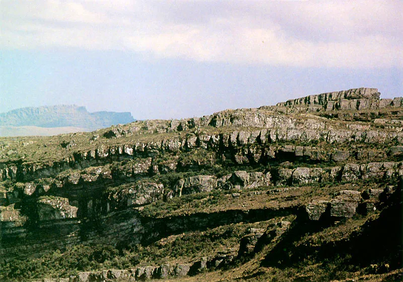 Formaciones de roca caliza sedimentaria de origen marino.
Páramo de Chingaza.