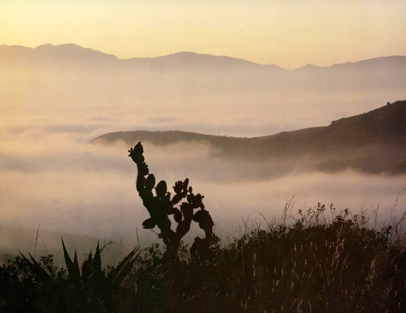 Loma La Sierra, vereda Santa Helena, Mosquera. Juan Ramn Giraldo Arciniegas