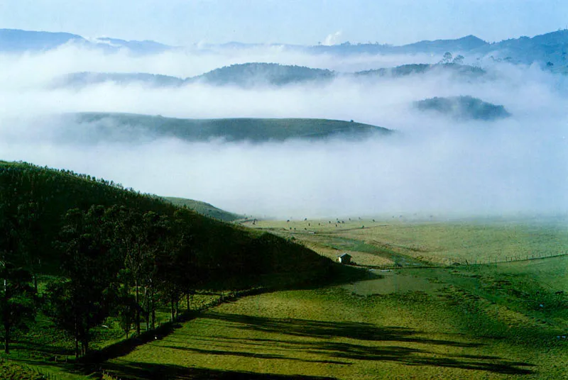 El Cerro del Mirador, vereda Canoas. Juan Ramn Giraldo Arciniegas