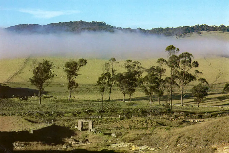Trocha de Canoas a Barroblanco. Juan Ramón Giraldo Arciniegas