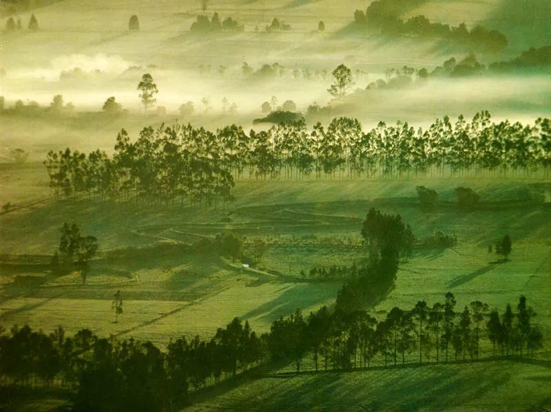 El Valle de Sop. Juan Ramn Giraldo Arciniegas