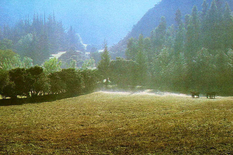 Hacienda "La Aldea", vereda El Chacal.  Juan Ramn Giraldo Arciniegas