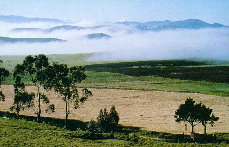 Vista desde el Cerro El Mesn, Mosquera. Juan Ramn Giraldo Arciniegas