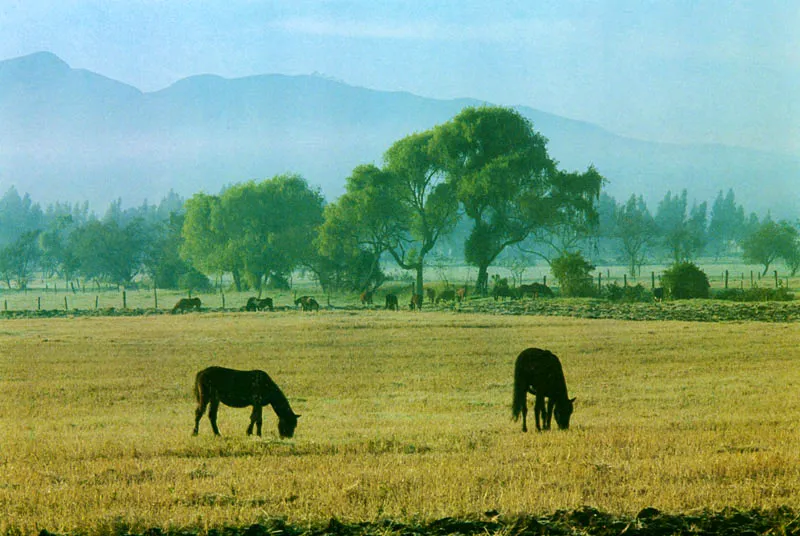 La vereda Carrasquilla y el cerro Majuy.  Juan Ramn Giraldo Arciniegas