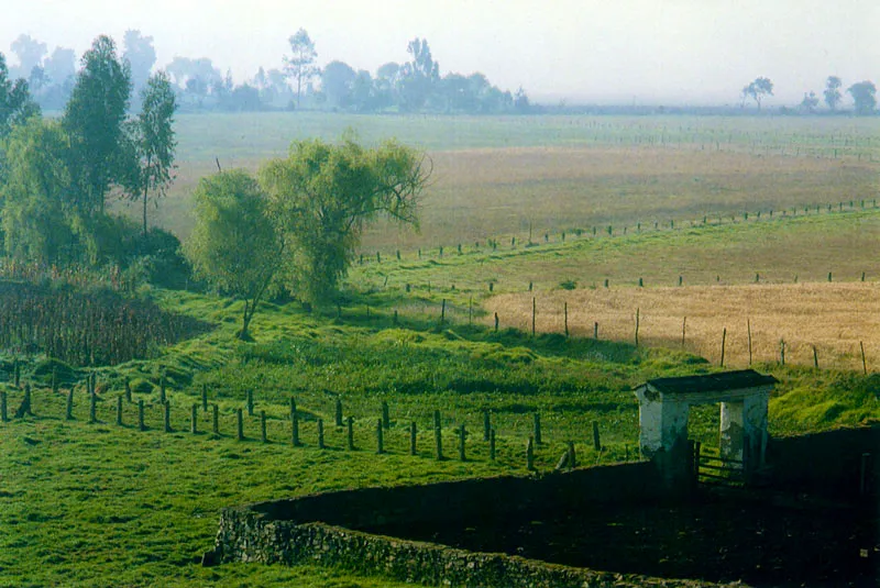 Las Corralejas antiguas de la Sabana. Juan Ramn Giraldo Arciniegas