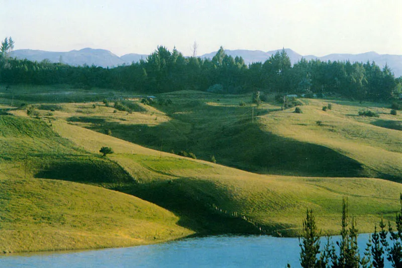 Potreros en la laguna del Sisga.  Juan Ramn Giraldo Arciniegas