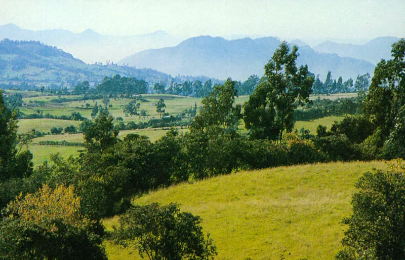 Valle del Ro Fro. Juan Ramn Giraldo Arciniegas