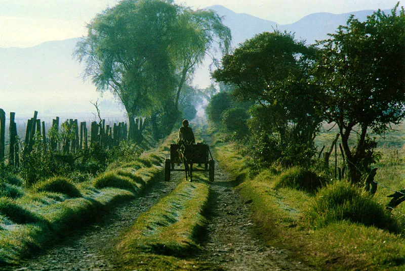 Dejando la leche por Carrasquilla.  Juan Ramn Giraldo Arciniegas