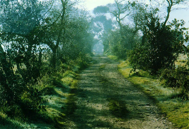 Caminito sabanero en Subachoque.  Juan Ramn Giraldo Arciniegas