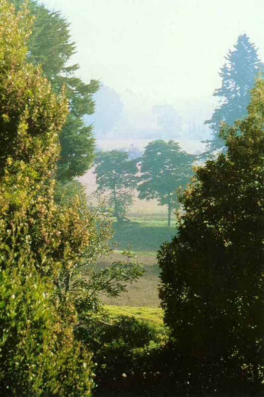 Hacienda "La Aldea", vereda El Chacal.  Juan Ramn Giraldo Arciniegas