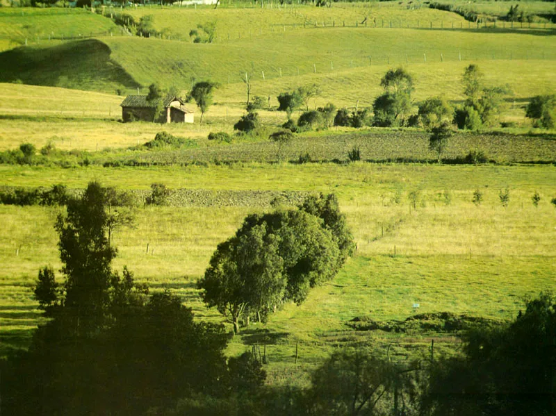 Vista de la vereda de Zoque, entre Tenjo y Tabio.  Juan Ramn Giraldo Arciniegas