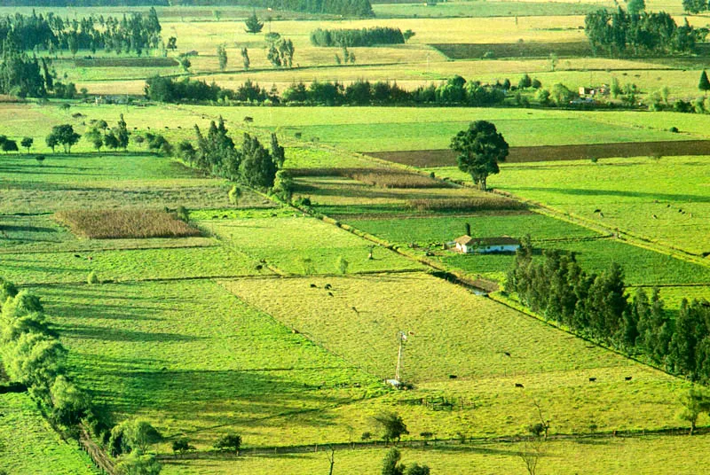 La vereda de Guangat, desde el camino de la Valvanera. Juan Ramn Giraldo Arciniegas