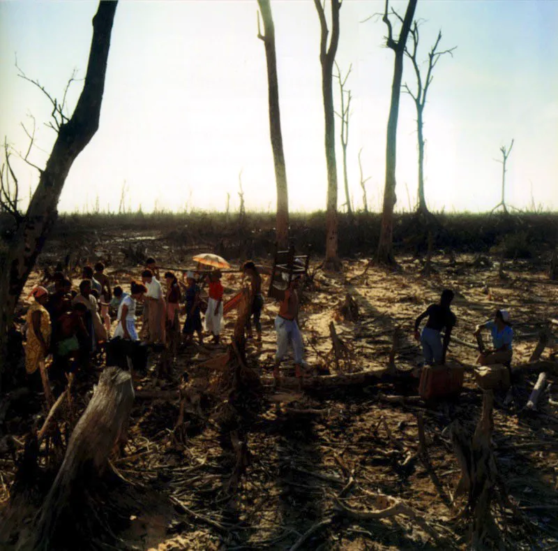 El manglar. / A todas partes llevaron su extravagante y engorroso cargamento; los baúles llenos con la ropa de los muertos anteriores al nacimiento de ellos mismos, de los antepasados que no podrían encontrarse a veinte brazas bajo la tierra; cajas llenas con los útiles de cocina que se dejaron de usar desde mucho tiempo atrás y que habían pertenecido a los más remotos parientes de mis padres (eran primos hermanos entre sí) y hasta un baúl lleno de santos con los que reconstruían el altar doméstico en cada lugar que visitaban. / La hojarasca. Hannes Wallrafen