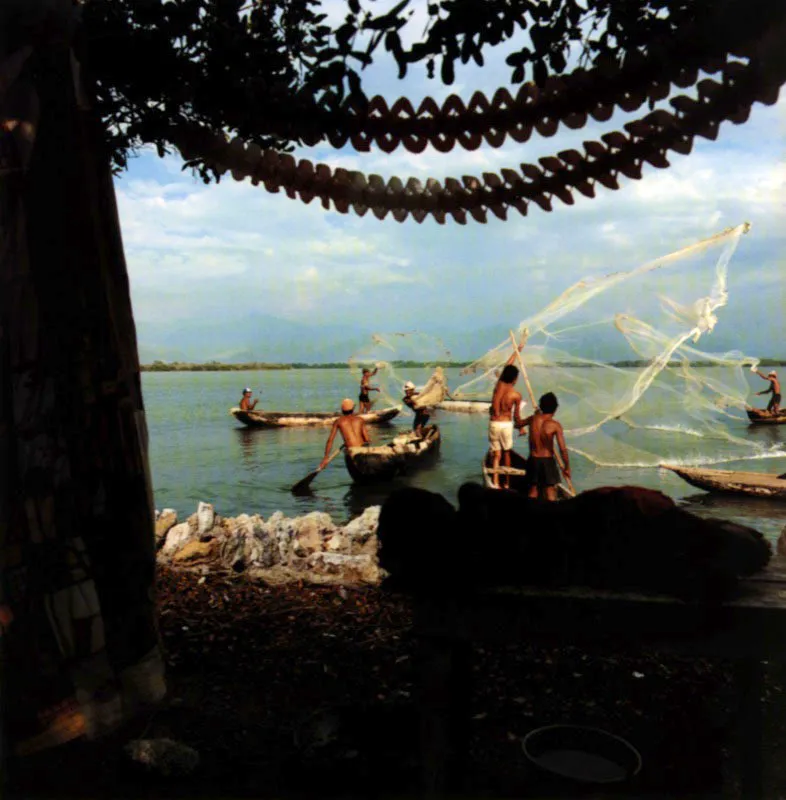 Los pescadores de Cinaga. / Todas las aves del cielo se haban alborotado con la matanza, y los pescadores tenan que espantarlas con los remos para que no les disputaran los frutos de aquel milagro prohibido. El uso del barbasco, que slo adormeca a los peces, estaba sancionado por la ley desde los tiempos de la Colonia, pero sigui siendo una prctica comn a pleno da entre los pescadores del Caribe, hasta que fue sustituido por la dinamita. / El amor en los tiempos del clera. Hannes Wallrafen