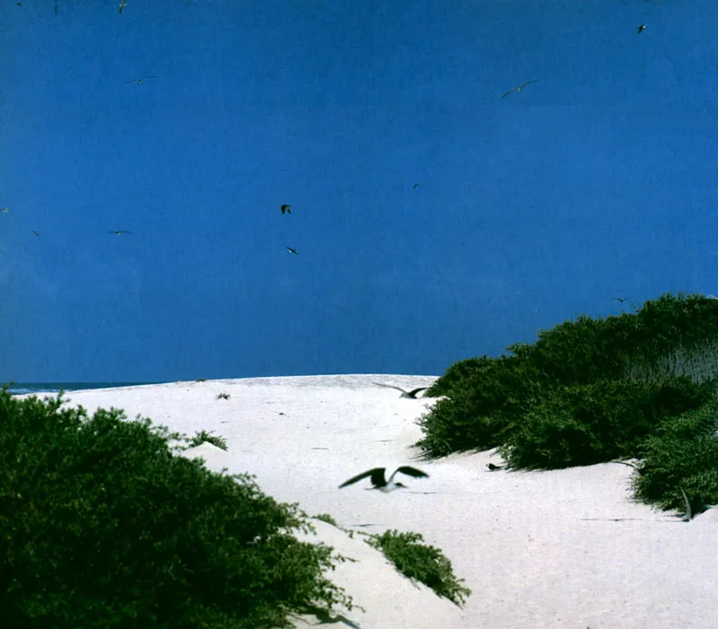 La islita de Pedro Serrana. Hernán Díaz