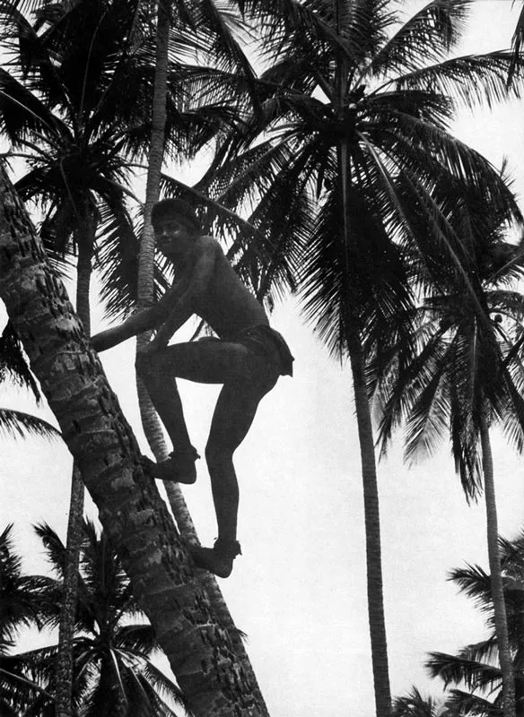 San Andrés. Deporte de Elcy Bar.
Hernán Díaz