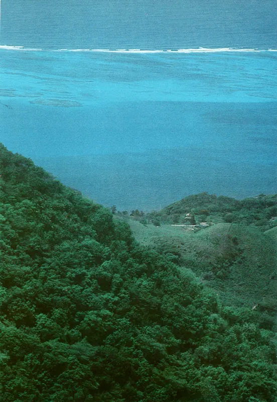 Providencia. Paisaje dejado quieto. Hernán Díaz