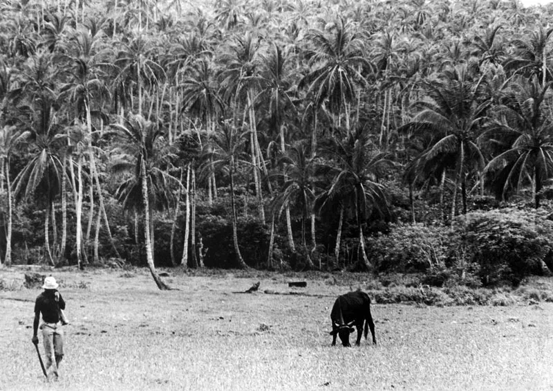 San Andrés. Paisajes campesinos del South End.
Hernán Díaz