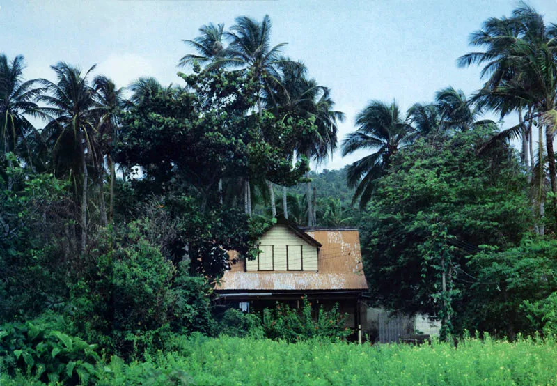 San Andrés. El quehacer fácil de cada día. Hernán Díaz