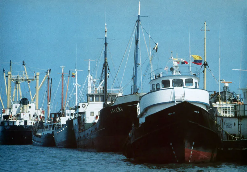 San Andrés. El puerto libre. Hernán Díaz