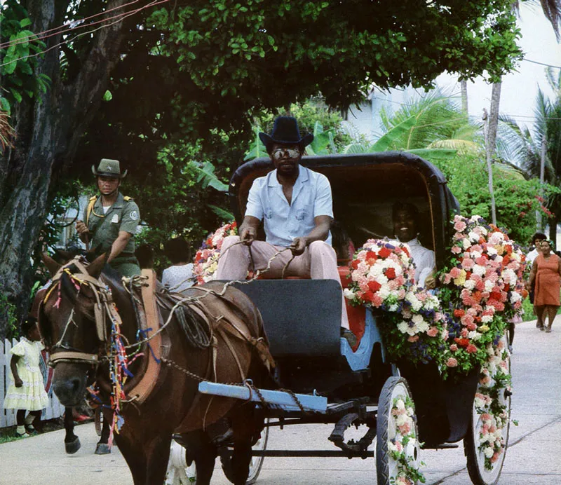 San Andrs. El paseo de las flores.
 Hernn Daz