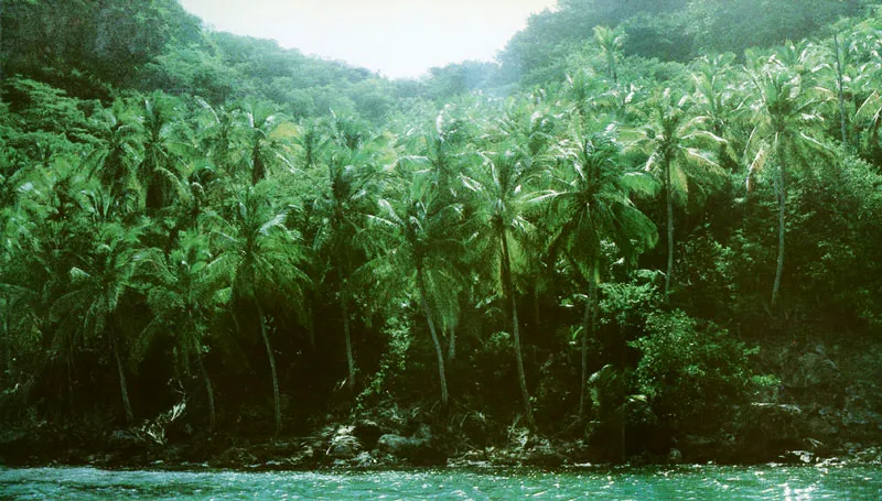 Santa Catalina. Playa salvaje cerca de Bucann’er Point. Hernán Díaz