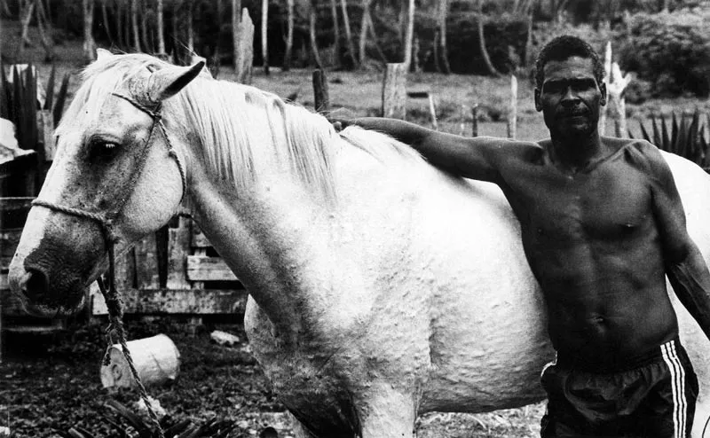 San Andrés. Un marinero campesino de Sam Rite Hill
Hernán Díaz